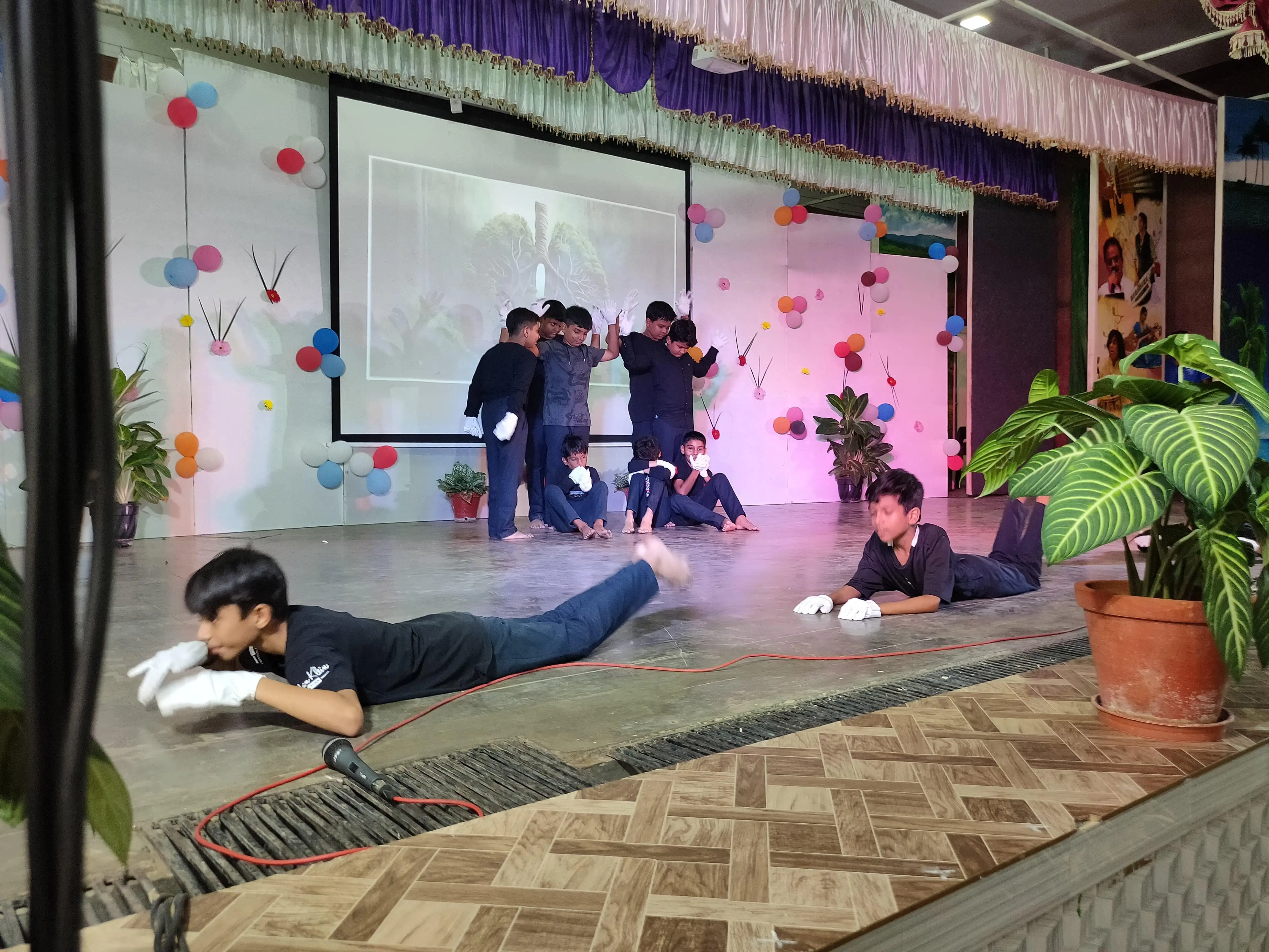 Instrumental Music Performance